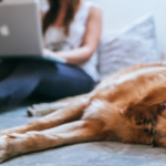 Are you ready to be a pet parent? Take our test to find out