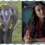 A feel-good watchlist for when you need a break from ragey cinema