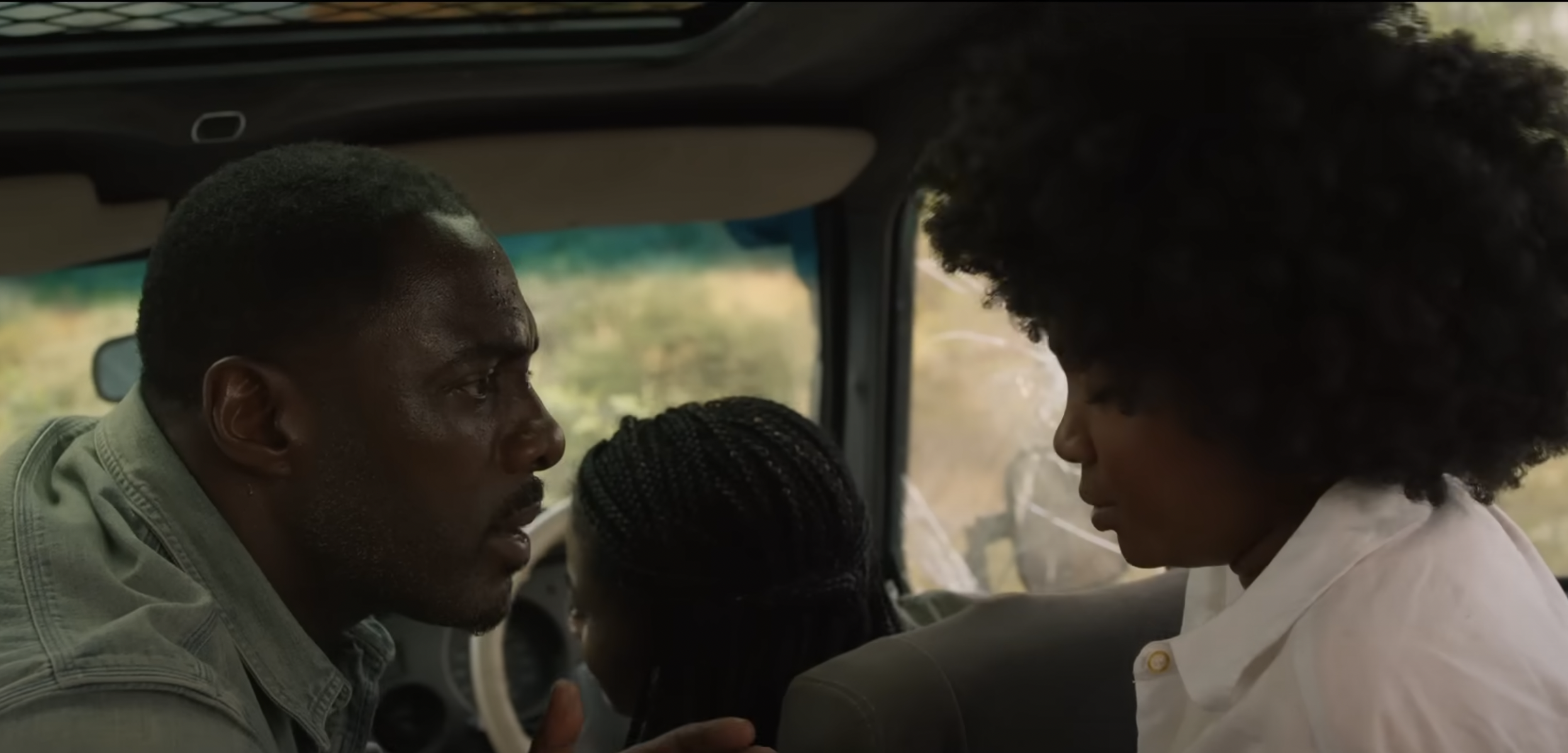 animal-human conflict 