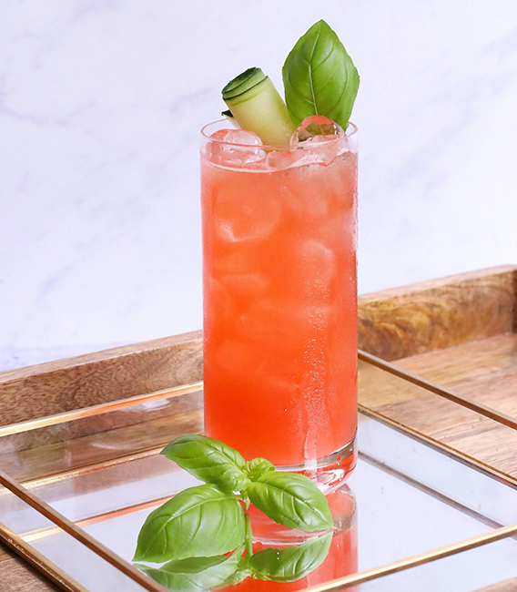 watermelon cooler 