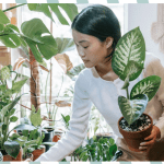 10 decor stores that’ll arm-twist you into a home makeover