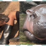 Finally, an internet ‘It Girl’ we can relate to