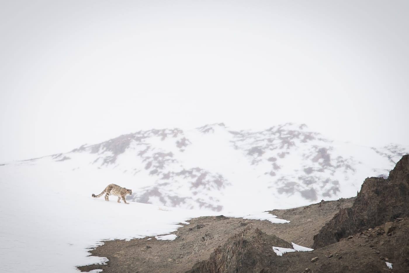 Hemis National park