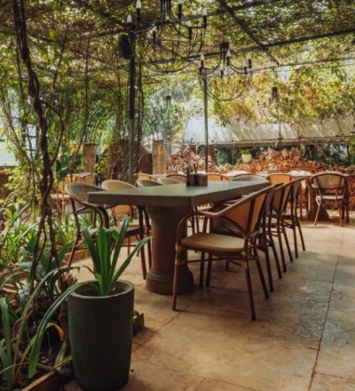 Interiors of cafe Lento in Goa. The roof is full of lush green canopy with tables right in the middle.
