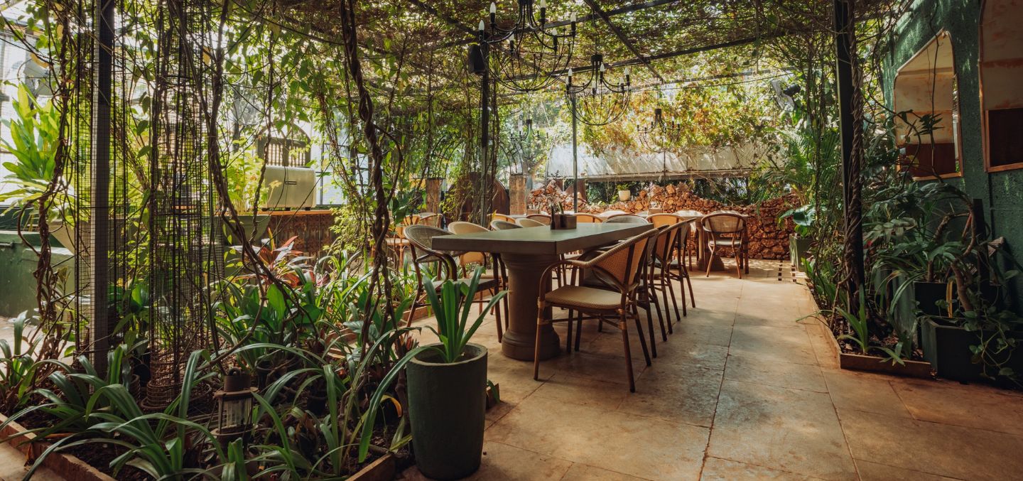 Interiors of cafe Lento in Goa. The roof is full of lush green canopy with tables right in the middle.